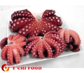 Bạch Tuộc Nhật (Chuẩn Sashimi) Ý Chí Food