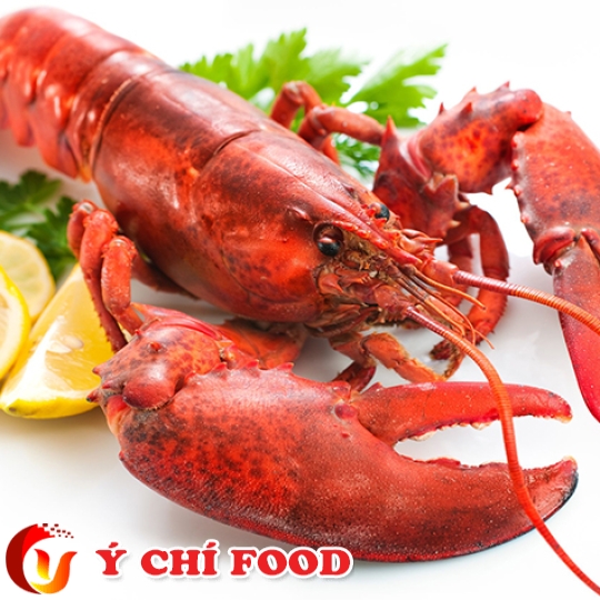 Tôm Hùm Alaska Ý Chí Food